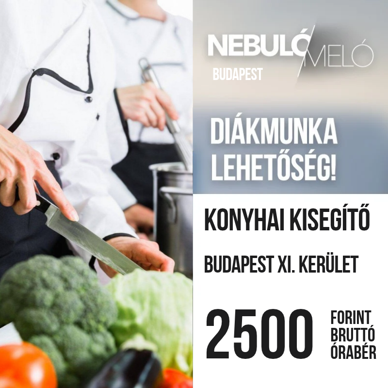 Konyhai kisegítő diákmunka lehetőség Budapesten!